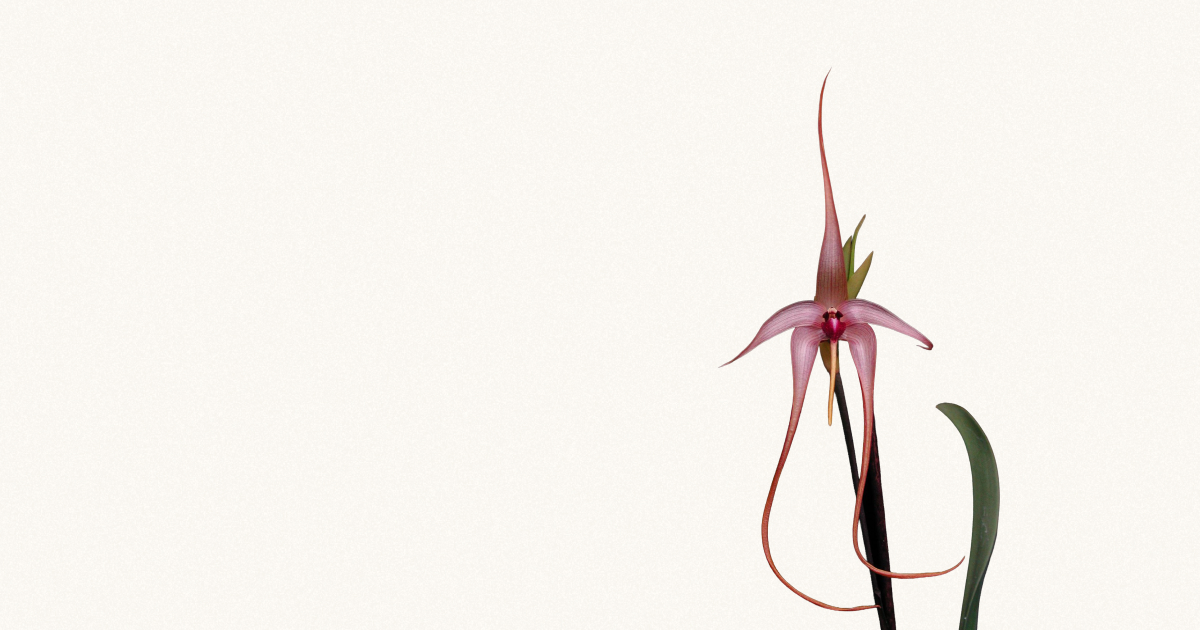 Closure Vending Machine Screenshot